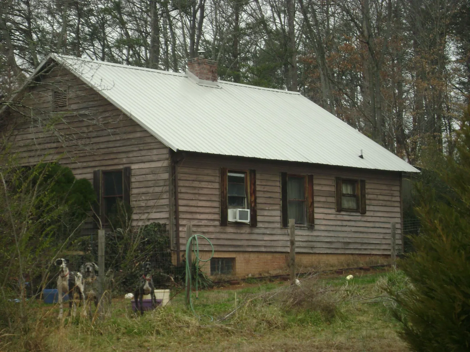 White metal roof on an old wood sided farmhouse, from a Metal Roof Installation job in Sweet Home